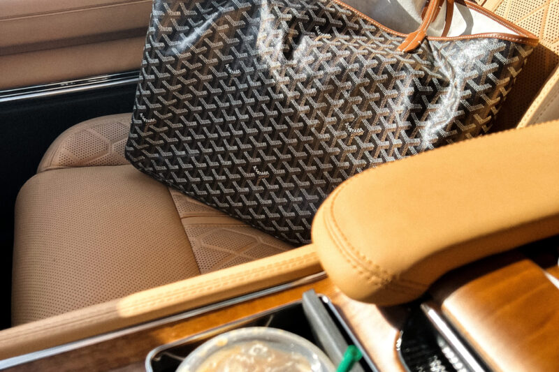 Keep Your Essentials Organized with a Longchamp Bag Organizer